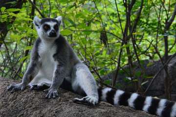 Review image by Adel Zakaria for the trip title: Madagascar Adventure