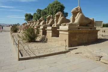 Review image by Anonymous for the trip title: Nile Adventure: Felucca Cruise & the Red Sea