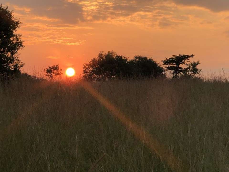 6 day safari and 3 nights in Zanzibar