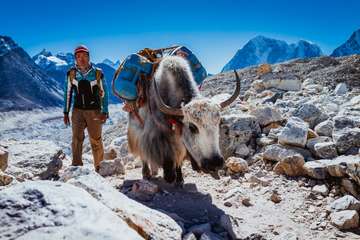 Review image by Dirk van der Zwan for the trip title: Everest Base Camp - 3 Passes trek