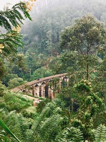Review image by Anonymous for the trip title: Best of Sri Lanka Tour