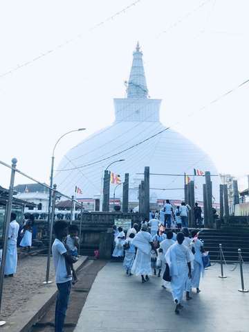 Review image by Anonymous for the trip title: Best of Sri Lanka Tour