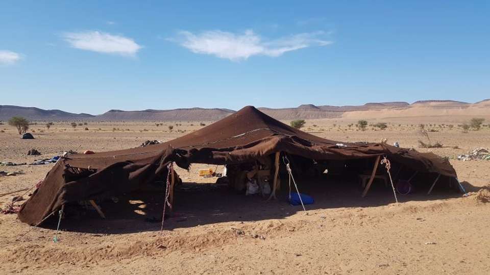 Great trip experience