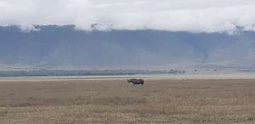 Review image by Neja Staba Penik for the trip title: 3 Day Tanzania Safari Tarangire, Lake Manyara, Ngorongoro