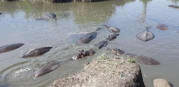 Review image by Neja Staba Penik for the trip title: 3 Day Tanzania Safari Tarangire, Lake Manyara, Ngorongoro