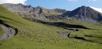 Review image by Howard Baker for the trip title: Caucasus Small Group Tour