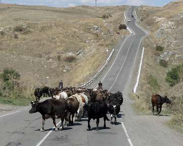 Review image by Howard Baker for the trip title: Caucasus Small Group Tour