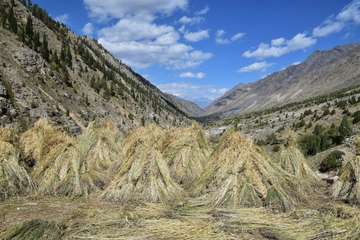 Review image by Adel for the trip title: Hunza Pakistan Tour