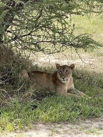 Review image by Valiant for the trip title: Five-Day Kilimanjaro Climb: Marangu Route