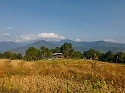 Review image by Aliee Hards for the trip title: Bhutan Hiking and Walking Tour