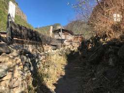 Review image by Aliee Hards for the trip title: Bhutan Hiking and Walking Tour