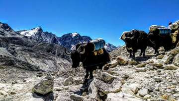 Review image by Domenieck Kohl for the trip title: Everest Base Camp Trek