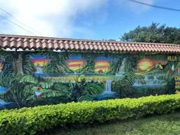 Review image by Anonymous for the trip title: Eco Adventure Trip in Costa Rica