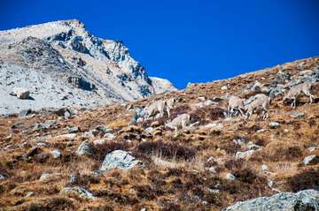 Review image by Johan Rahul for the trip title: Everest View Trek