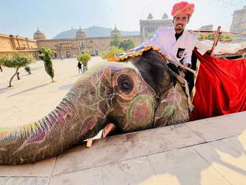 Review image by Alessandro for the trip title: Rustic Rajasthan