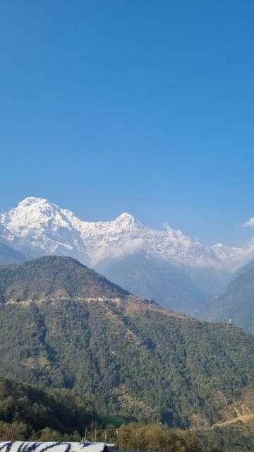 Review image by Anonymous for the trip title: Ghorepani Poon Hill Sunrise Trek