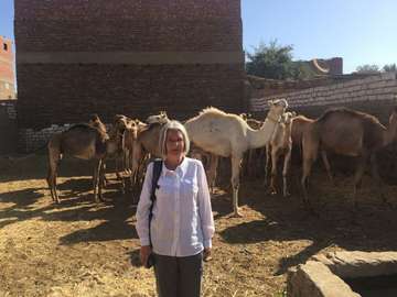 Review image by Clerriottj for the trip title: Discover Egypt: Cairo & Nile Cruise in 8 Days W/Air 