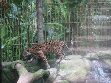 Review image by Antony Orme for the trip title: Naturally Costa Rica
