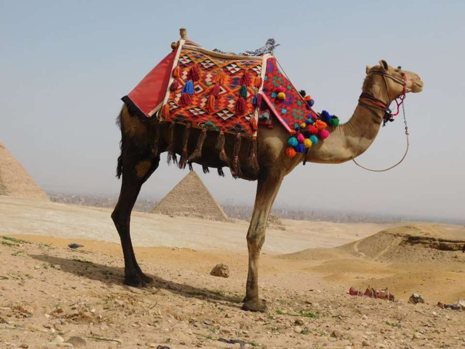 Adventure, fun and grandiose sights - a perfect tour!