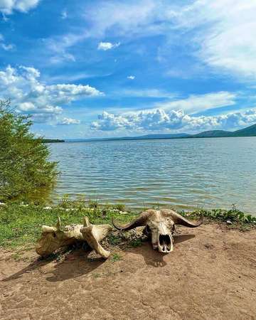 Review image by Daniel Lassen for the trip title: Five Day Gorilla Trekking & Wildlife Safari in Uganda