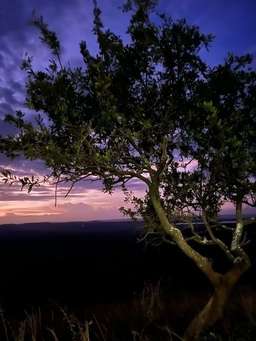 Review image by Daniel Lassen for the trip title: Five Day Gorilla Trekking & Wildlife Safari in Uganda