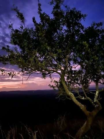 Review image by Daniel Lassen for the trip title: Five Day Gorilla Trekking & Wildlife Safari in Uganda