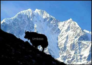 Review image by Phongphan Kesa for the trip title: Everest Base Camp  and Gokyo Lake Trek  15 Days 