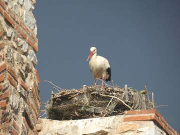 Review image by David Waugh for the trip title: The Best of Turkey