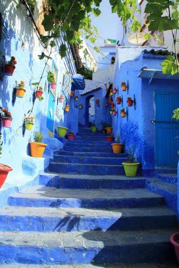 Review image by Shadia B for the trip title: 8 Day Morocco Tour from Casablanca: Atlas & Sahara Tour