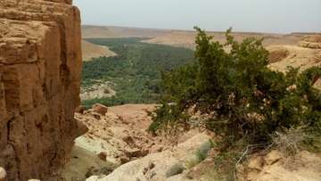 Review image by Shadia B for the trip title: 8 Day Morocco Tour from Casablanca: Atlas & Sahara Tour