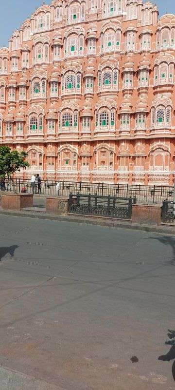 Review image by Jennifer Carpenter for the trip title: Taj, Tigers & Majestic Forts