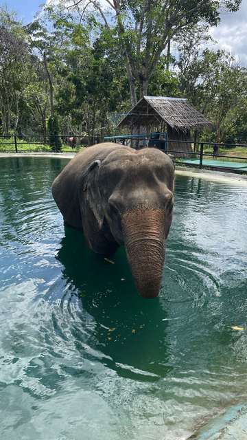 Review image by Terri Giffin for the trip title: Thai Experience