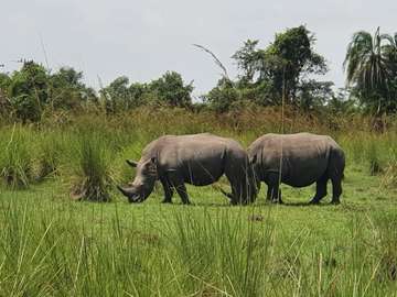 Review image by Ofer Klein for the trip title: Uganda Highlights: Eleven Day Safari