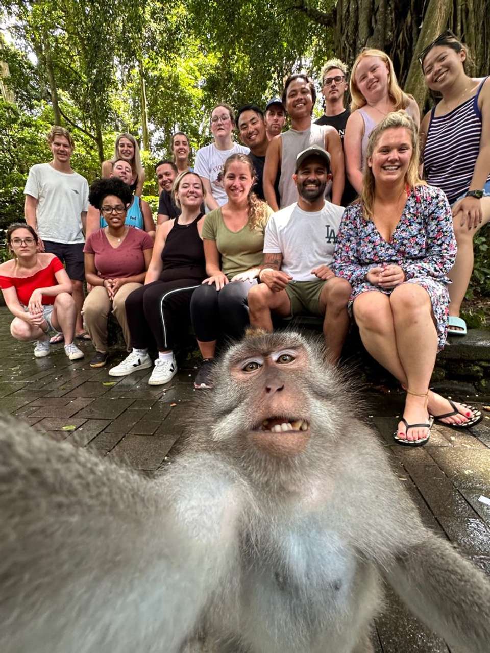 Trip of a lifetime