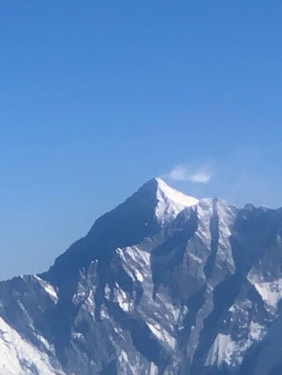 fantastic trip