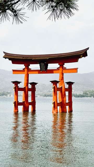 Review image by JULIETTE NGUYEN LAC for the trip title: Japan 14 Day Adventure Tour
