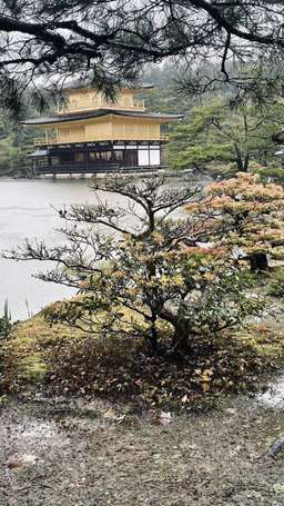 Review image by JULIETTE NGUYEN LAC for the trip title: Japan 14 Day Adventure Tour