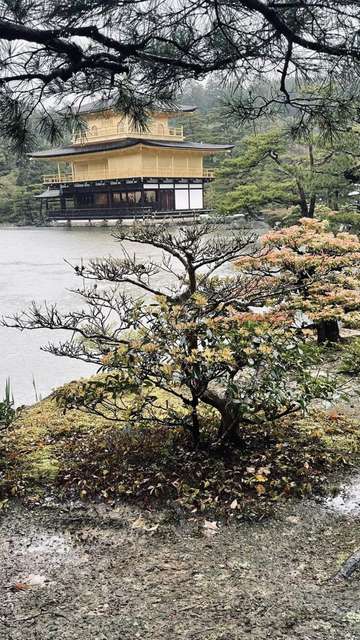 Review image by JULIETTE NGUYEN LAC for the trip title: Japan 14 Day Adventure Tour