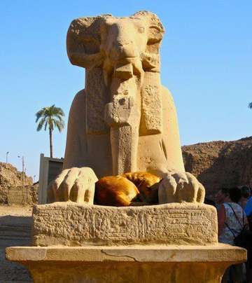 Review image by norris for the trip title: Best of Egypt-5 days Egypt Adventures