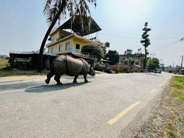 Review image by Margie Sutton for the trip title: Nepal Cultural Highlights Roundtrip