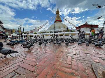 Review image by Sally Gross for the trip title: Nepal Cultural Highlights Roundtrip