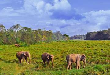 Review image by Shreya Bastola for the trip title: Nepal Cultural Highlights Roundtrip