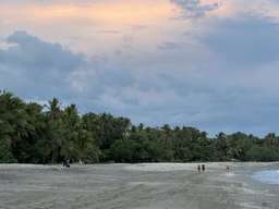 Review image by Steven Baker for the trip title: Eco Adventure Trip in Costa Rica