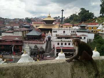 Review image by Anonymous for the trip title: Nepal Cultural Highlights Roundtrip
