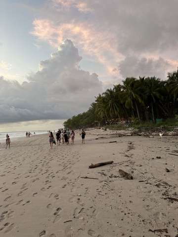 Review image by Mateja Novaković for the trip title: Costa Rica Adventure
