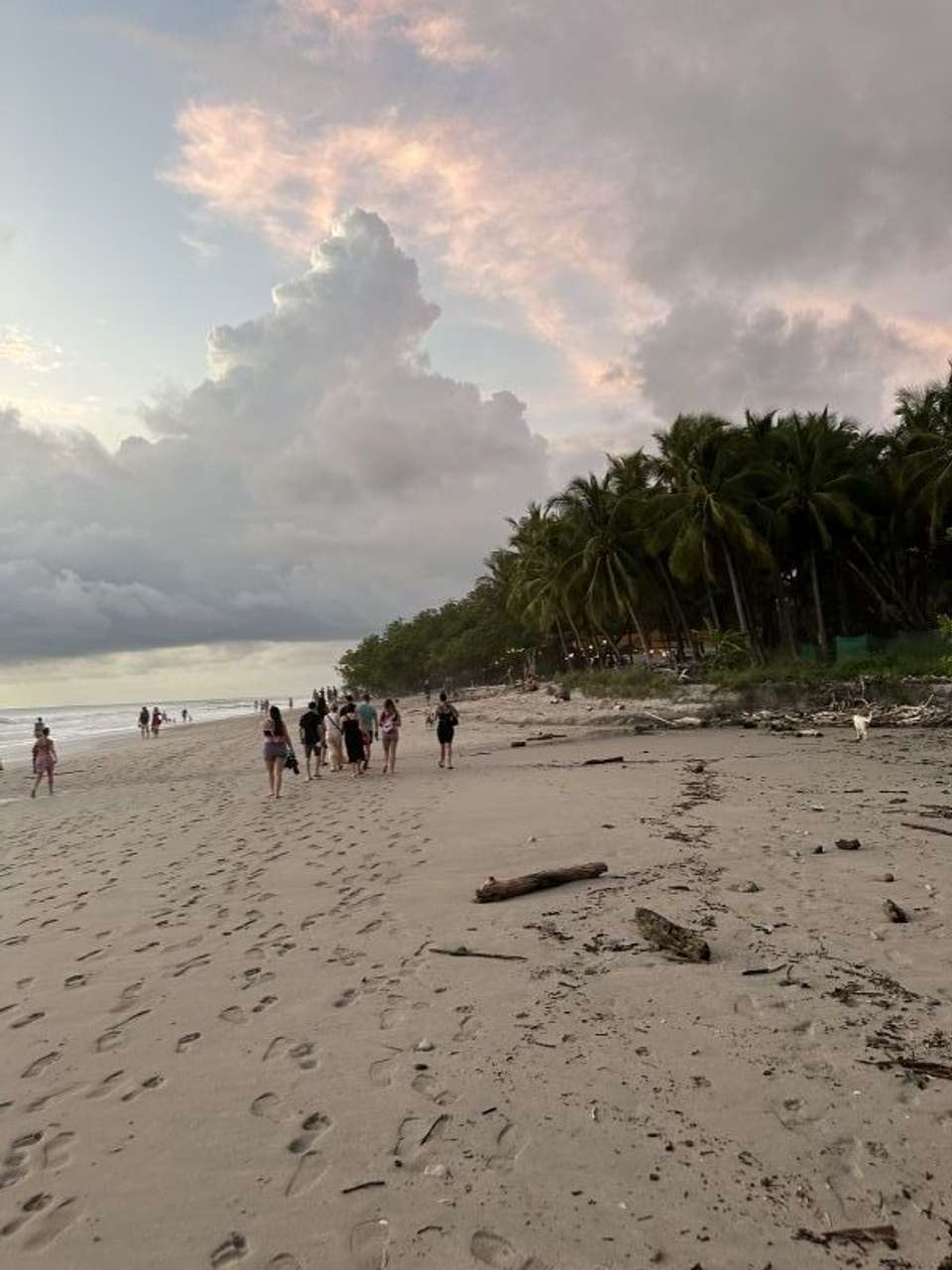 Incredible time in Costa Rica