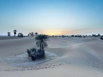 Review image by Brian Smith for the trip title: Moroccan Sahara Discovery