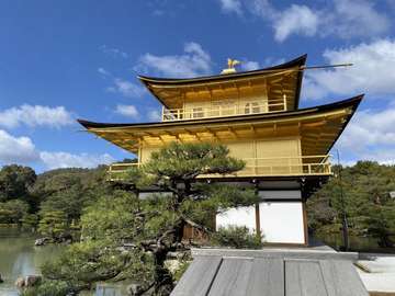 Review image by Owen Short for the trip title: Japan 10 Day Adventure Tour