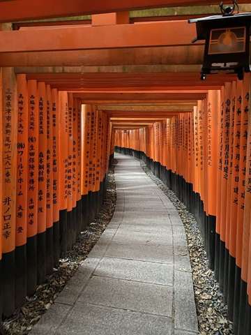 Review image by Owen Short for the trip title: Japan 10 Day Adventure Tour