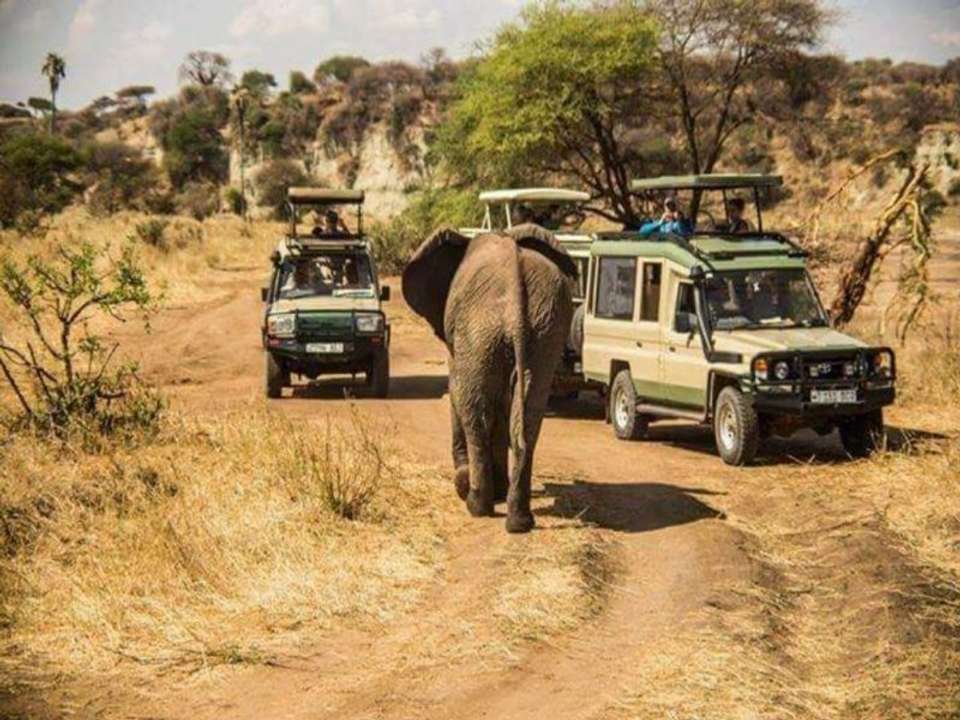 4-day Safari